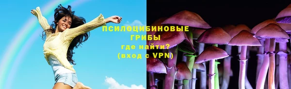 шишки Алексин