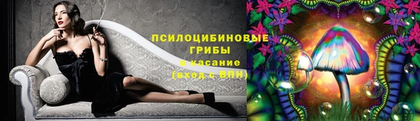 2c-b Алзамай